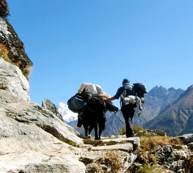 Trekking Guide in Nepal