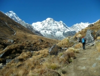 Annapurna Base Camp Trek in Nepal 