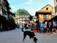 Bandipur Village Tour in Nepal