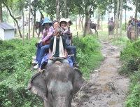 Chitwan Jungle Safari