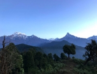 Mardi Himal Trekking