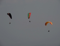 Paragliding 