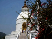 Peace Stupa