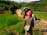 rice field valley 