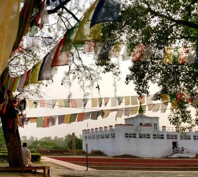 Chitwan Lumbini Pokhara Tour