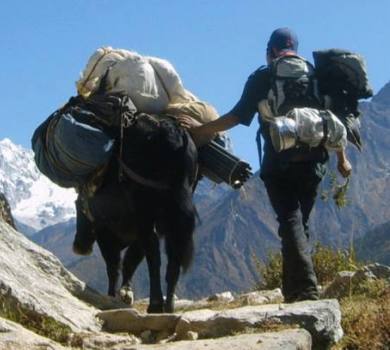 Everest panoramic Trek